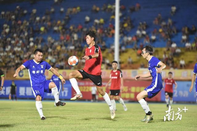 Giá Lợn Hơi Hôm Nay